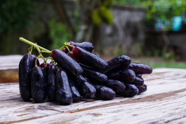 Black Grapes (Long)